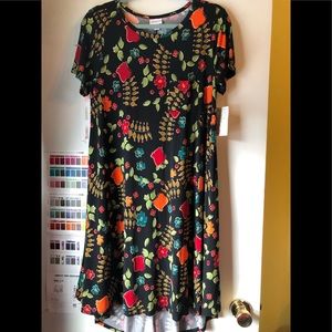 Super pretty Lularoe Carly